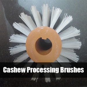 Cashew Processing Brushes | Featured Image | NIBI Brushes | New India Brush Industries | Industrial Brushes