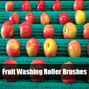 Fruit Washing Roller Brushes | Featured Image | NIBI Brushes | New India Brush Industries | Industrial Brushes